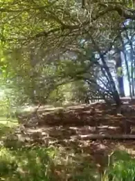 Andypie6 webcam model stream image