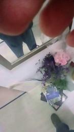 Falisan webcam model stream image