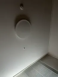 dvoi webcam stripchat model stream image