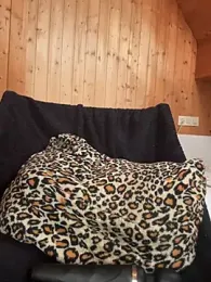feuchtes__traumchen webcam stripchat model stream image