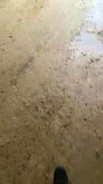 Adomgt webcam model stream image