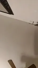 himNIGuys webcam model stream image