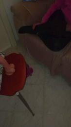 unici74792 webcam model stream image