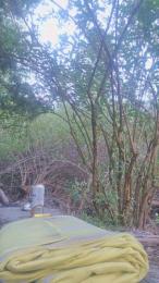 Ampallang6 webcam cam4 model stream image