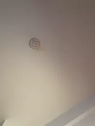 Andrestarr webcam model stream image