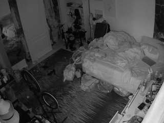 voyeurcam-hornyhostel-02 webcam model stream image