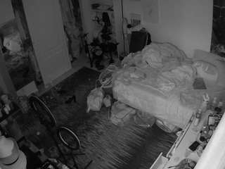 voyeurcam-hornyhostel-02 webcam model stream image