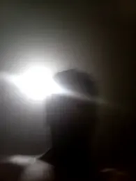 bxbicho20 webcam model stream image