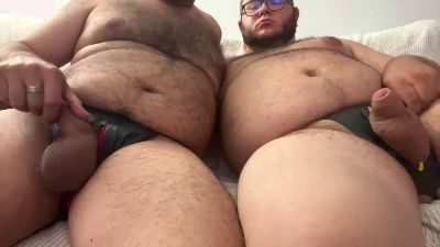2_Bear webcam cam4 model stream image