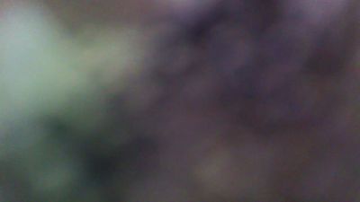 olycam webcam model stream image