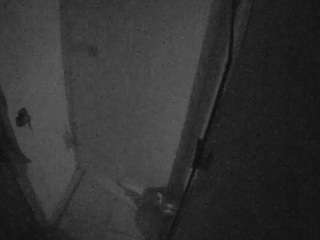 voyeurcam-casa-salsa-bathroom-7 webcam camsoda model stream image