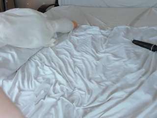 may-flowere webcam model stream image