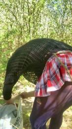 Joueurh webcam model stream image