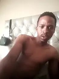 Stm15 webcam model stream image