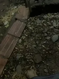 the_queen_of_street webcam stripchat model stream image