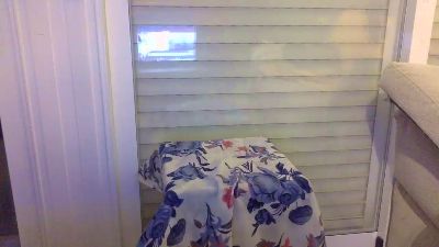 disop webcam model stream image