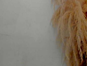 Lina-palace webcam model stream image