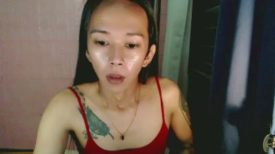 uglyvan webcam model stream image