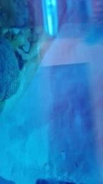 amilyfun webcam model stream image