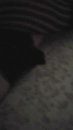 coppiacam99 webcam model stream image