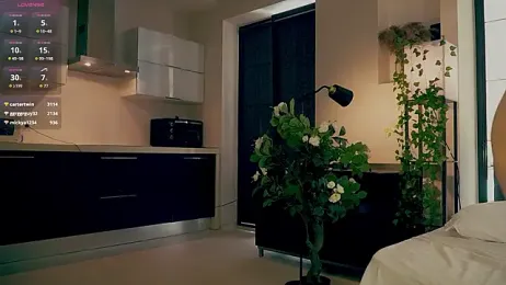 SanySenise webcam model stream image