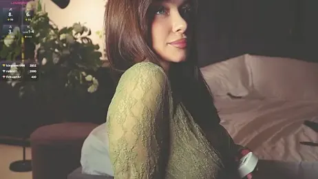 SanySenise webcam model stream image