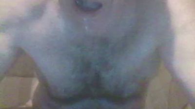 aidi5 webcam model stream image
