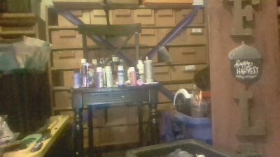 xploringus webcam model stream image