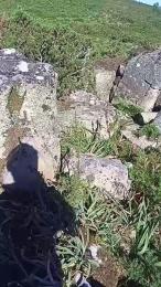 gutig_14 webcam model stream image