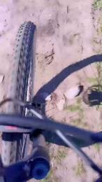 gutig_14 webcam model stream image