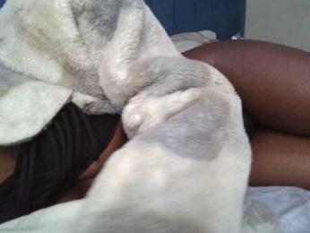 Brianasexy4u webcam model stream image