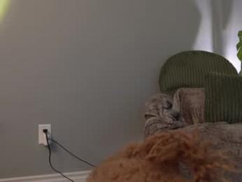 littlemiss_kira webcam chaturbate model stream image