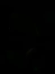 fax4589 webcam model stream image