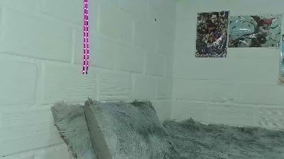 Toji_zenin97 webcam model stream image