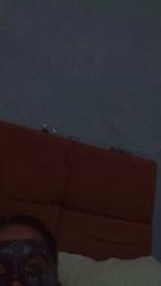 Cleopatra3436 webcam model stream image