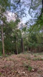 Outdoorsd webcam model stream image