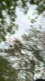 Outdoorsd webcam model stream image