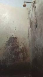 italo47sexy2 webcam model stream image