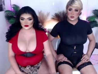 10incheskinkynastytrans webcam model stream image