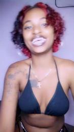 Armella2 webcam model stream image
