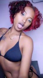 Armella2 webcam model stream image
