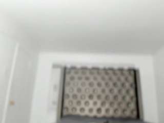 sashamalone webcam model stream image