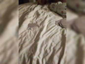 purpur33 webcam model stream image