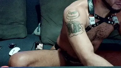 KY_DomSir36 webcam model stream image
