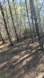 Morbo131 webcam model stream image