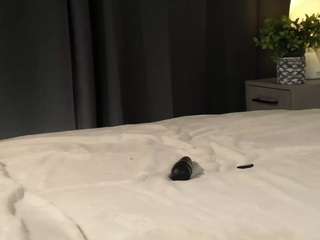 theacooling webcam model stream image