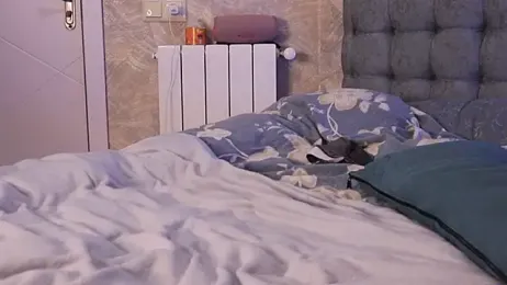 analollina webcam model stream image