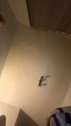 InkedTroia webcam cam4 model stream image