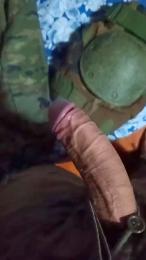 sanyjh webcam model stream image