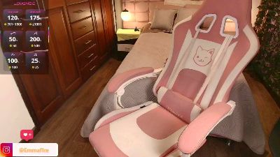 emmaa_rs webcam model stream image